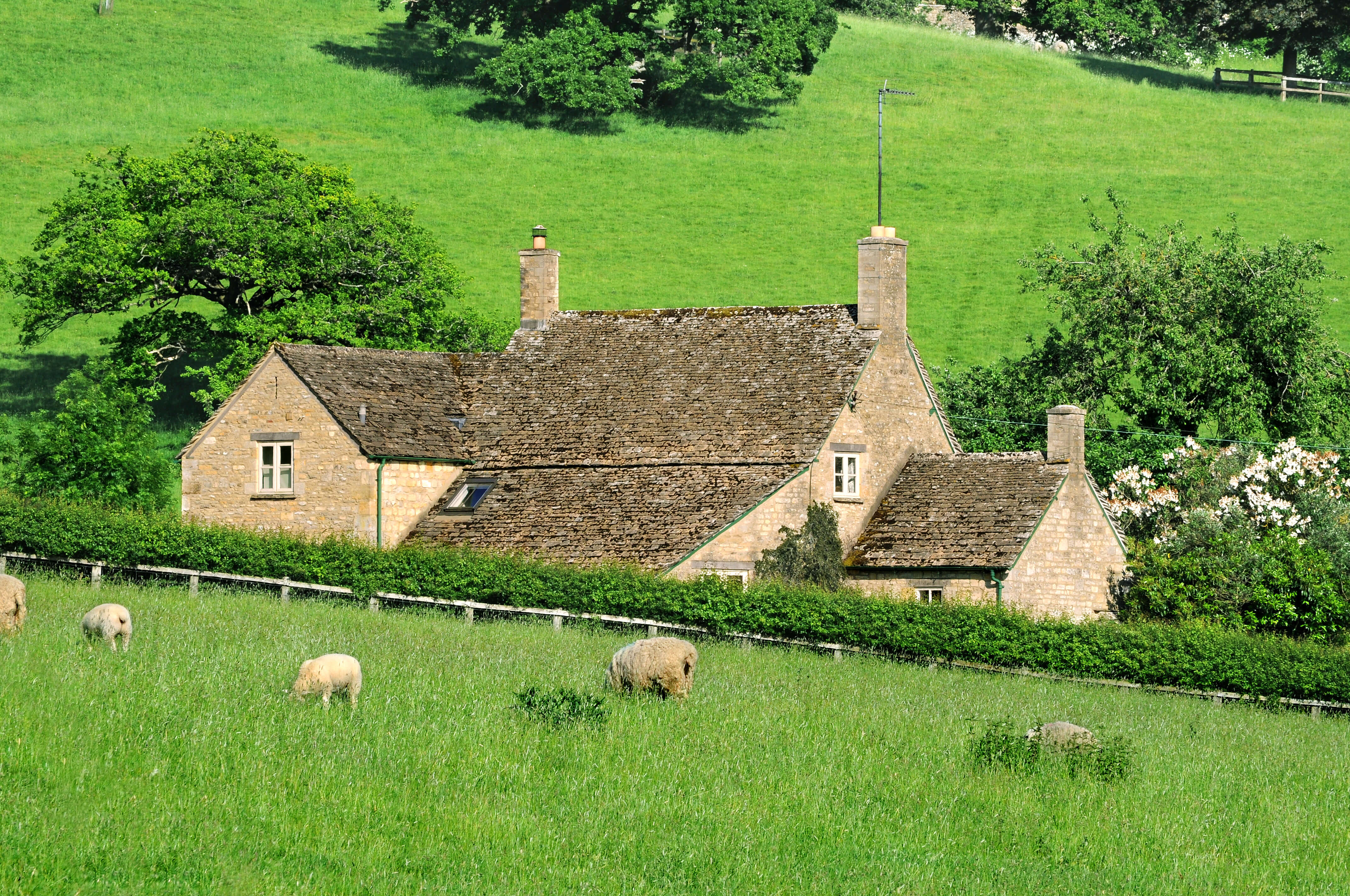 Agricultural Property Definition